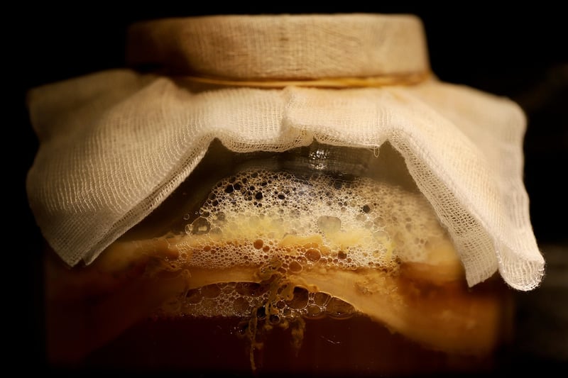 Fermentation Expertise